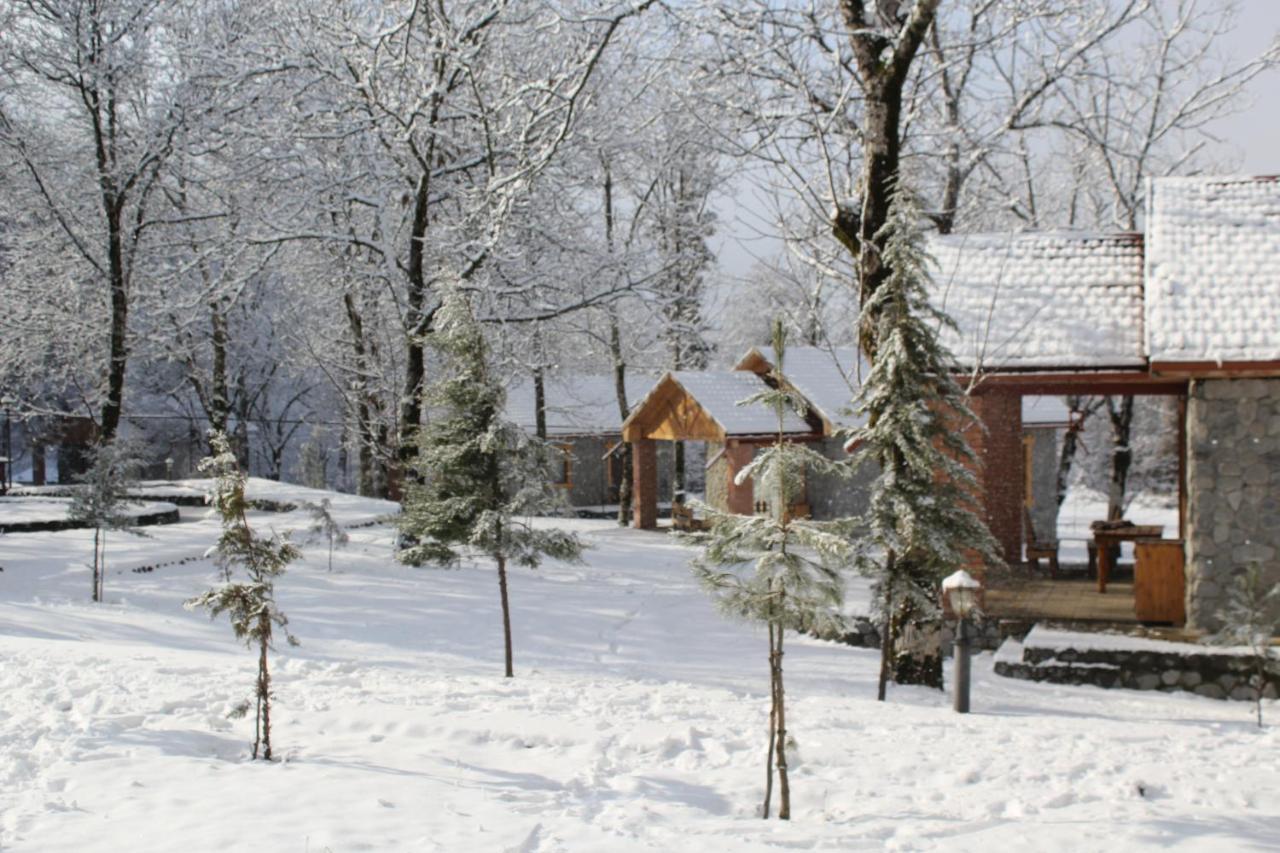 Talistan Forest Park Ξενοδοχείο Εξωτερικό φωτογραφία