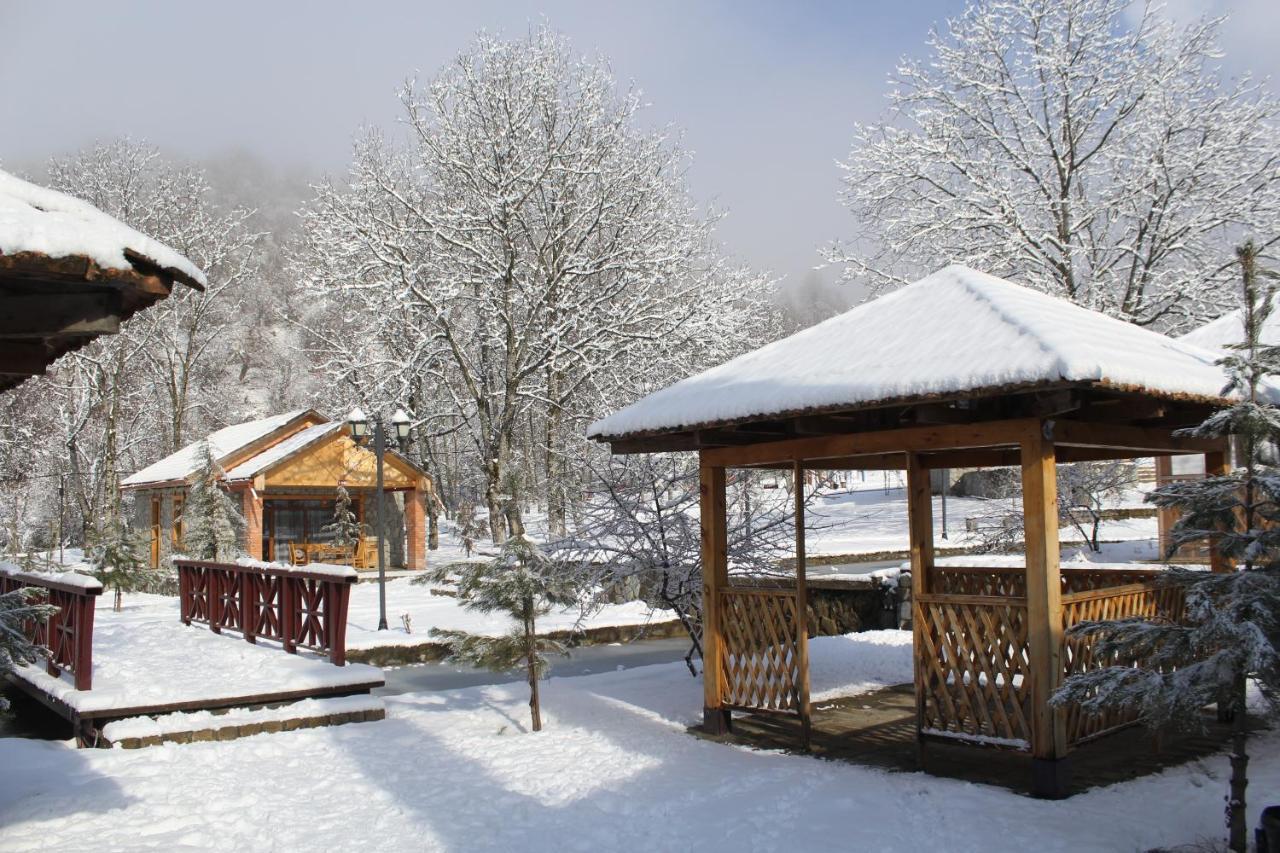 Talistan Forest Park Ξενοδοχείο Εξωτερικό φωτογραφία